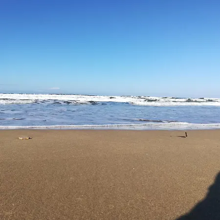 招待所 S'ommu Ezza