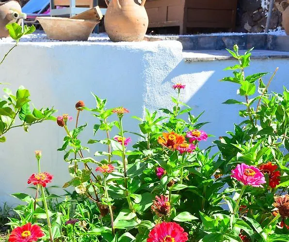 S'ommu Ezza Narbolia